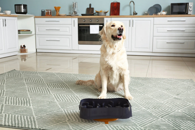 Marley Slowappy Slow Feeder  Bowl - Dark Grey