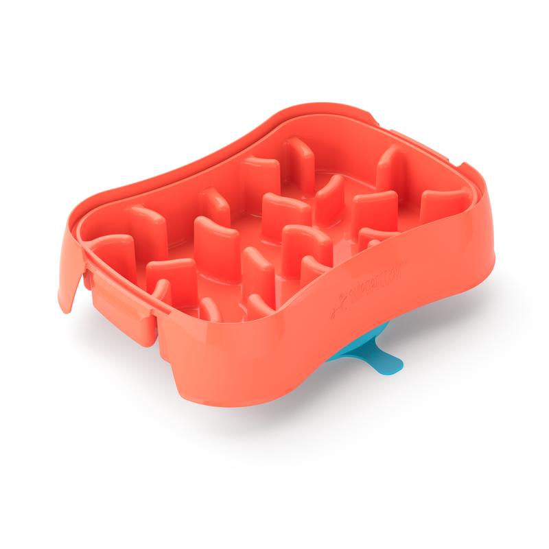 Marley Slowappy Slow Feeder  Bowl - Warm Ocean Red