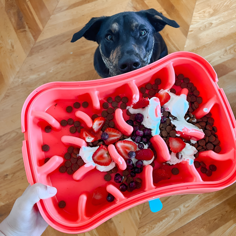 Marley Slowappy Slow Feeder  Bowl - Warm Ocean Red