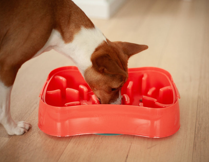 Marley Slowappy Slow Feeder  Bowl - Warm Ocean Red