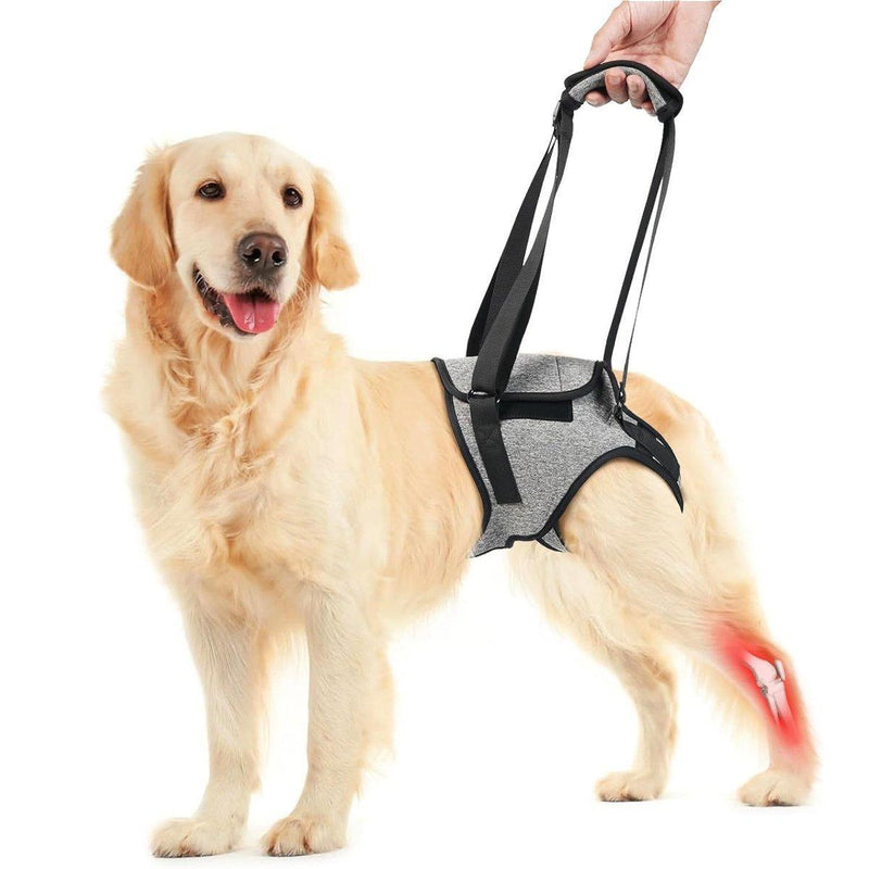 Decompression Back Leg Strap for Injured and Older Dogs Support Harness Aid - L