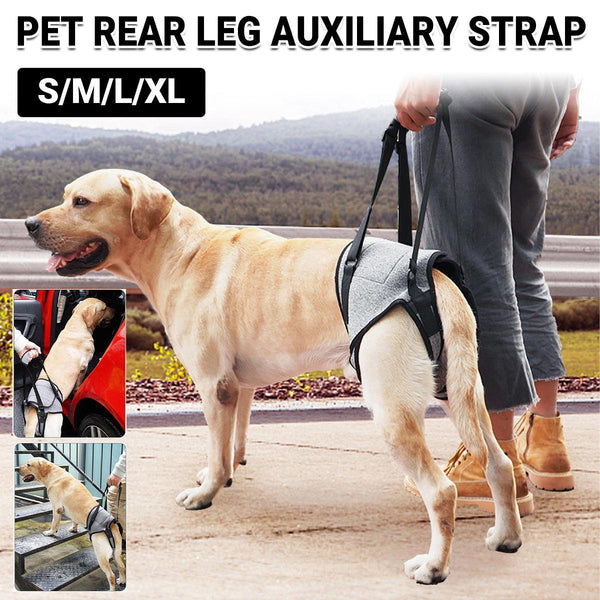 Decompression Back Leg Strap for Injured and Older Dogs Support Harness Aid - XL