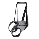 Decompression Back Leg Strap for Injured and Older Dogs Support Harness Aid - XL