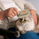 Mango Pet Massage Comb Spray Brush for Dogs Cats Grooming Shedding Detangler - White