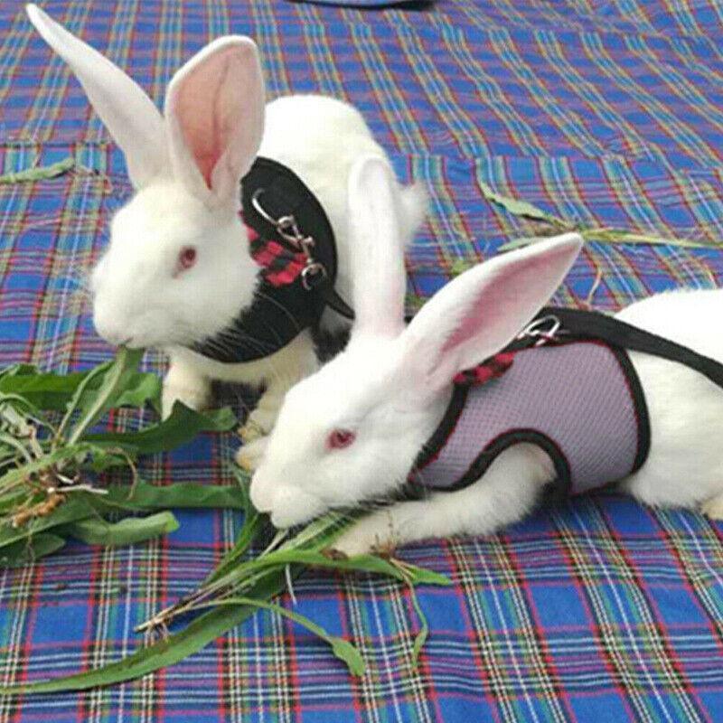 Rabbit Vest Harness Leash Lead Small Animal Pet Mesh Hamster Bunny Traction Rope M - Black