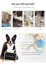 Elevated Pet Feeding Bowl with Stainless Steel Inner - Promotes Healthy Digestion & Reduces Neck Strain(Pink)