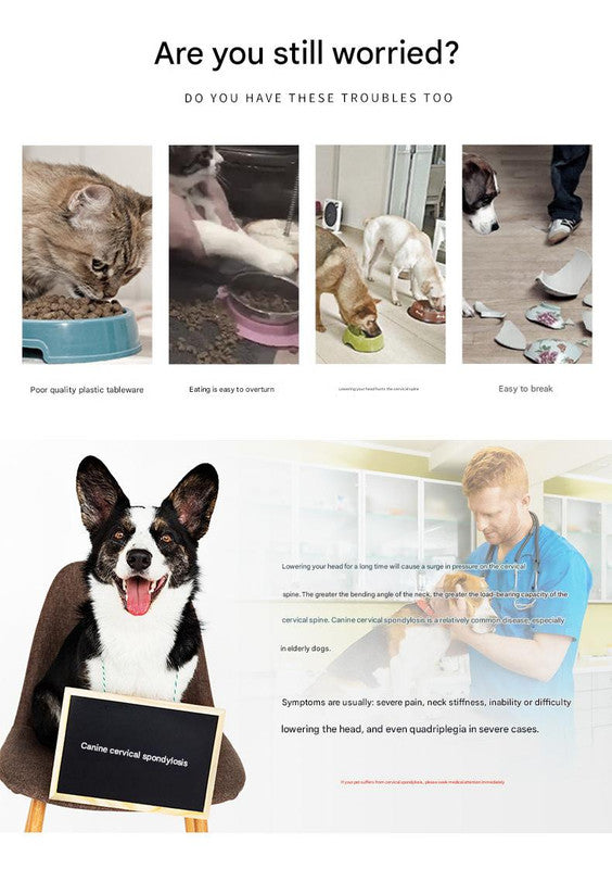 Elevated Pet Feeding Bowl with Stainless Steel Inner - Promotes Healthy Digestion & Reduces Neck Strain(Pink)