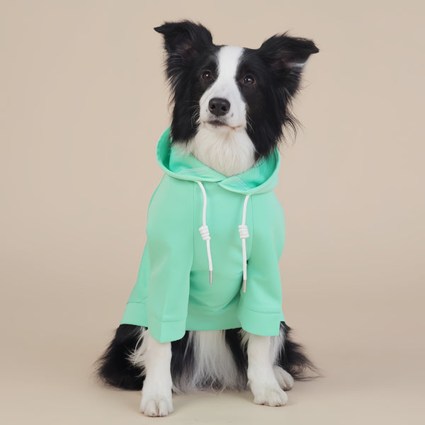 Green Classic Dog Sweatshirt with Hood & Drawstrings - For Large Dogs (Size : XL)